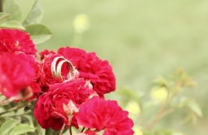 عکاسی باغ عروسی